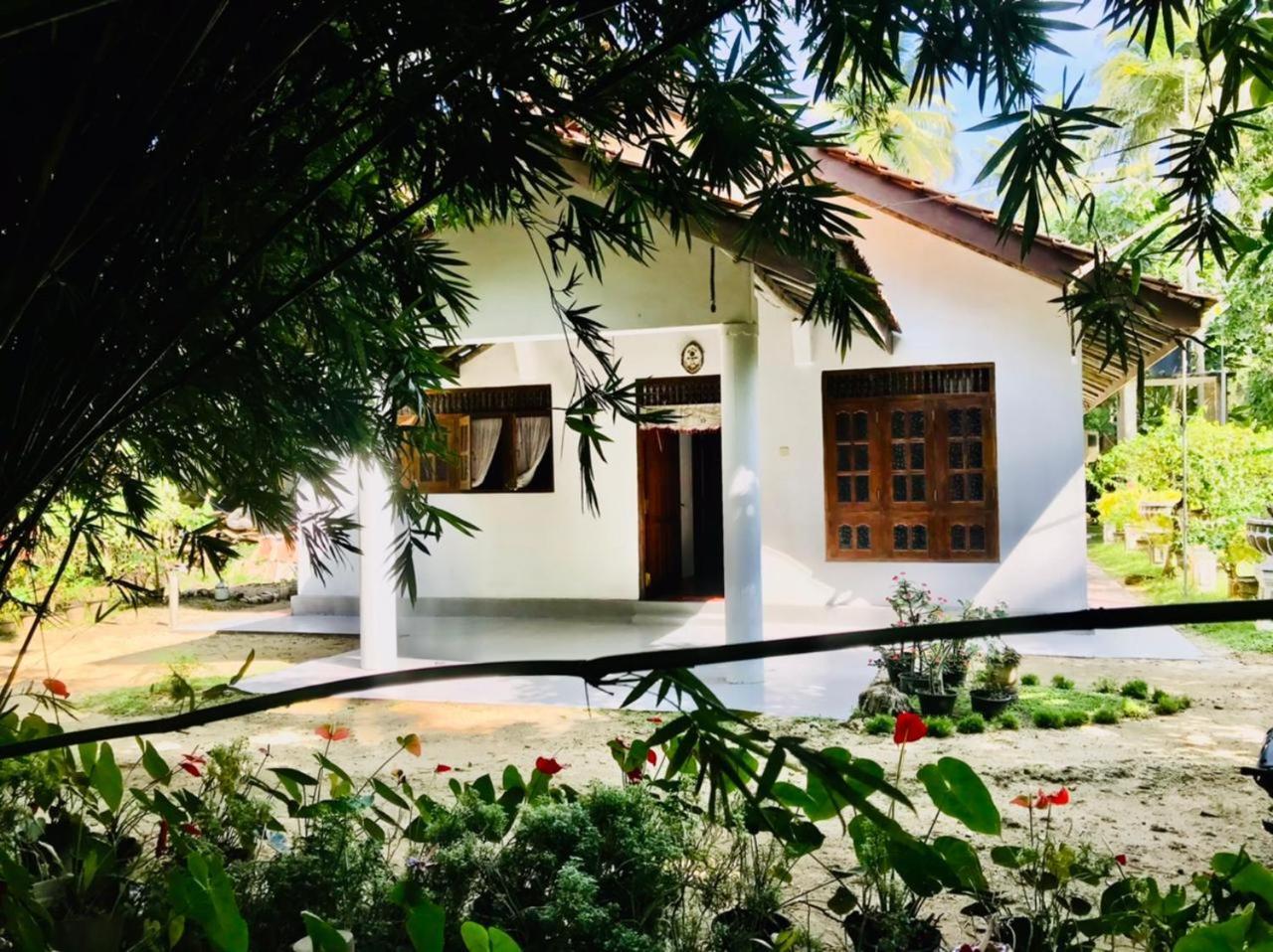 Apartamento Lucky Mongrooves Midigama East Exterior foto